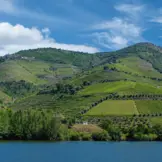 douro valley-dpt