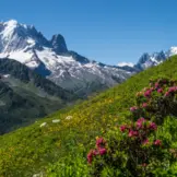 French Alps-pr
